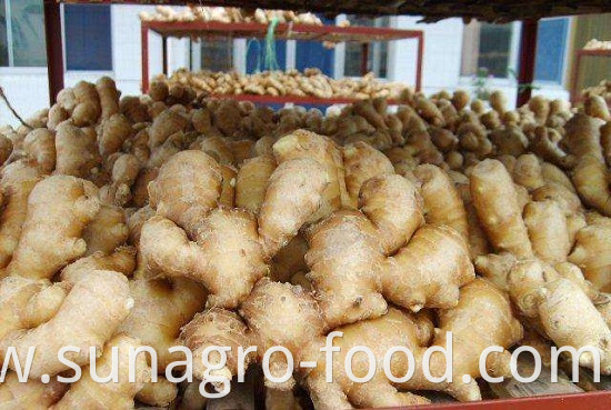 Organic Air Dried Ginger